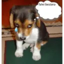 Pacotão kkkkkk 16