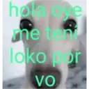 Mis pegatinas 10