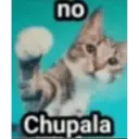 Mis pegatinas 11