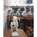 Mis pegatinas 12