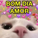 CHEIO DE AMOR ❤️😻 10