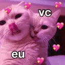 CHEIO DE AMOR ❤️😻 11