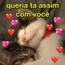 CHEIO DE AMOR ❤️😻 14