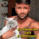 Minhas figurinhas 2