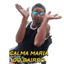 Minhas figurinhas 9