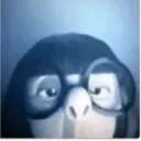 Random 👽🤙 1