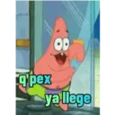 Patricio 29
