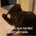 Min xd 4