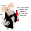 Min xd 25