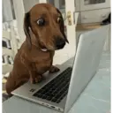 Coconutmeg 5