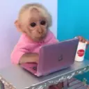 Coconutmeg 7