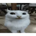 Coconutmeg 14