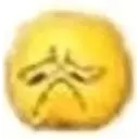Coconutmeg 19