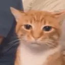 Coconutmeg 23