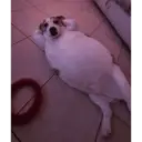 Coconutmeg 24