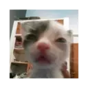Hehehe 2