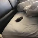 Hehehe 3