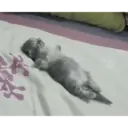 Hehehe 4