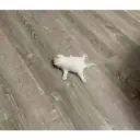 Hehehe 5