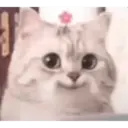 Hehehe 1