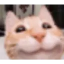 Hehehe 6