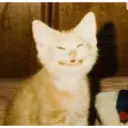 Hehehe 7