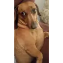 Hehehe 15