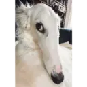 Hehehe 16