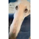 Hehehe 17
