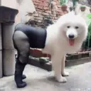 Hehehe 18
