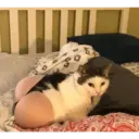 Hehehe 19
