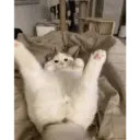 Hehehe 20
