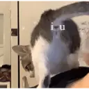 Hehehe 21