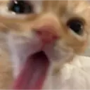 Hehehe 22