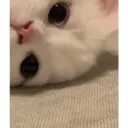 Hehehe 23