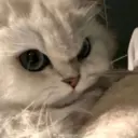 Hehehe 24