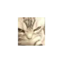 Hehehe 25