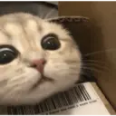 Hehehe 26