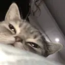Hehehe 27