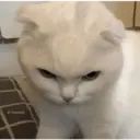 Hehehe 28