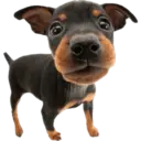 Cute dogs🐾🐶 18