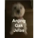 Meme random 3