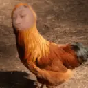 Deny 10
