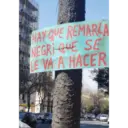 Potaxie 5