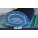 Potaxie 6