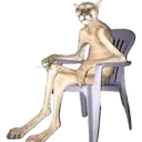 Potaxie 13