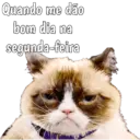 Gata Rabujenta 1