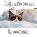 Gata Rabujenta 2