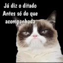 Gata Rabujenta 3