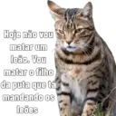 Gata Rabujenta 5